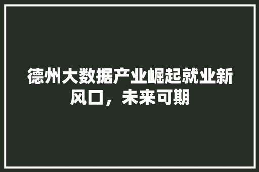 德州大数据产业崛起就业新风口，未来可期 SEO教程