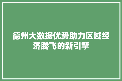 德州大数据优势助力区域经济腾飞的新引擎 建站教程