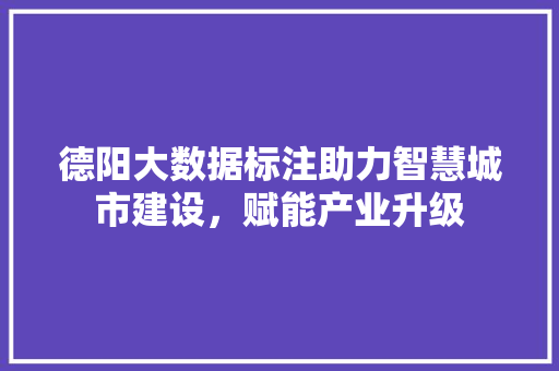 德阳大数据标注助力智慧城市建设，赋能产业升级