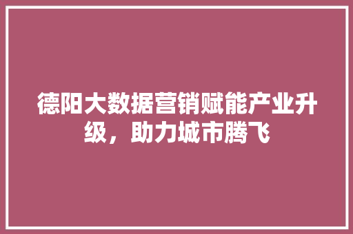 德阳大数据营销赋能产业升级，助力城市腾飞
