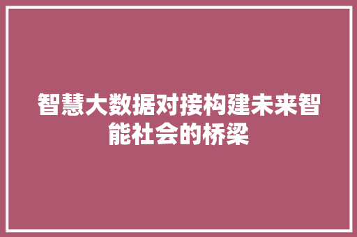 智慧大数据对接构建未来智能社会的桥梁