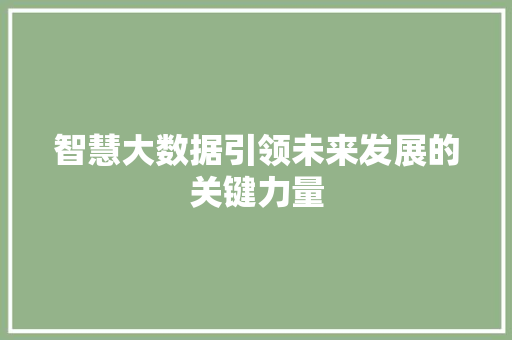 智慧大数据引领未来发展的关键力量