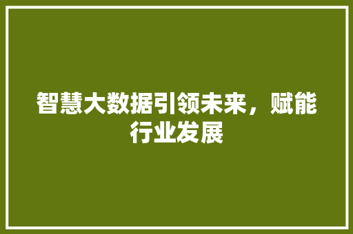 智慧大数据引领未来，赋能行业发展