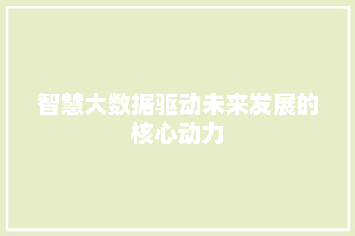 智慧大数据驱动未来发展的核心动力