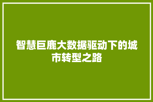 智慧巨鹿大数据驱动下的城市转型之路