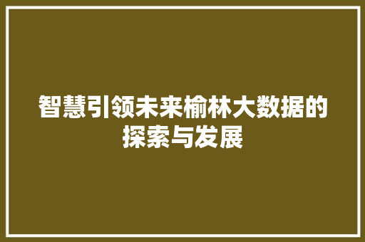 智慧引领未来榆林大数据的探索与发展 服务器/数据库