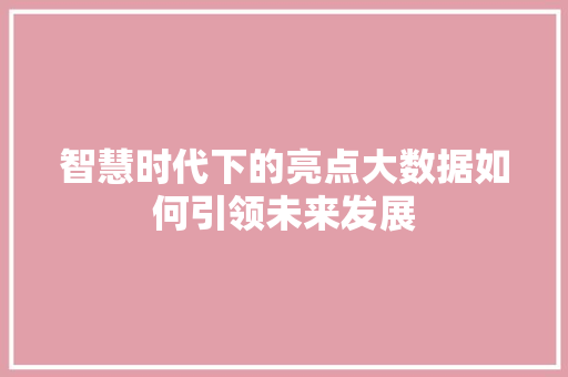 智慧时代下的亮点大数据如何引领未来发展