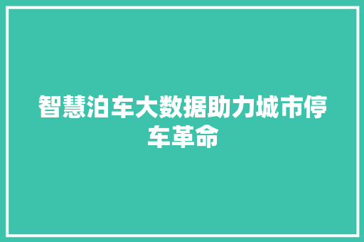 智慧泊车大数据助力城市停车革命