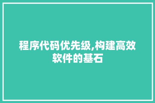 程序代码优先级,构建高效软件的基石