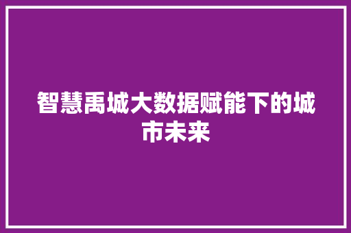 智慧禹城大数据赋能下的城市未来