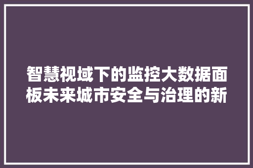 智慧视域下的监控大数据面板未来城市安全与治理的新引擎