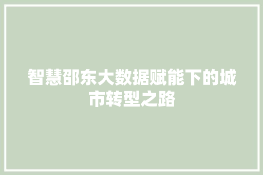 智慧邵东大数据赋能下的城市转型之路