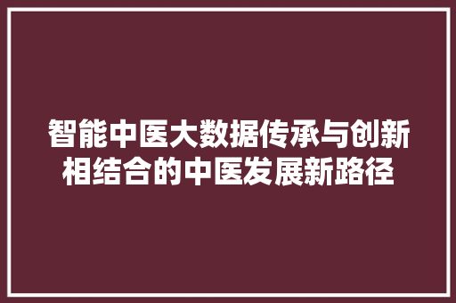 智能中医大数据传承与创新相结合的中医发展新路径 SEO教程