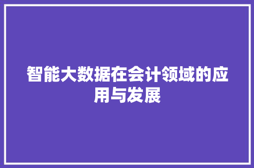 智能大数据在会计领域的应用与发展