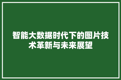 智能大数据时代下的图片技术革新与未来展望 建站教程