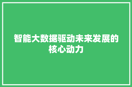 智能大数据驱动未来发展的核心动力