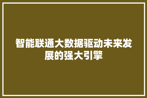 智能联通大数据驱动未来发展的强大引擎