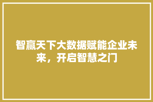 智赢天下大数据赋能企业未来，开启智慧之门