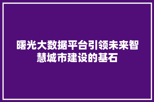 曙光大数据平台引领未来智慧城市建设的基石