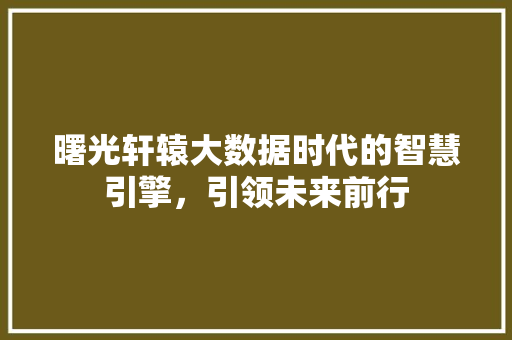曙光轩辕大数据时代的智慧引擎，引领未来前行