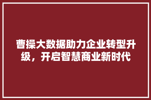 曹操大数据助力企业转型升级，开启智慧商业新时代 建站教程