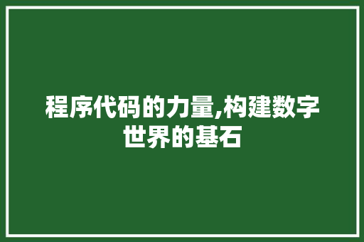 程序代码的力量,构建数字世界的基石