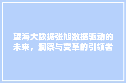 望海大数据张旭数据驱动的未来，洞察与变革的引领者 SEO教程