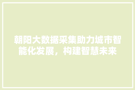 朝阳大数据采集助力城市智能化发展，构建智慧未来 WordPress教程