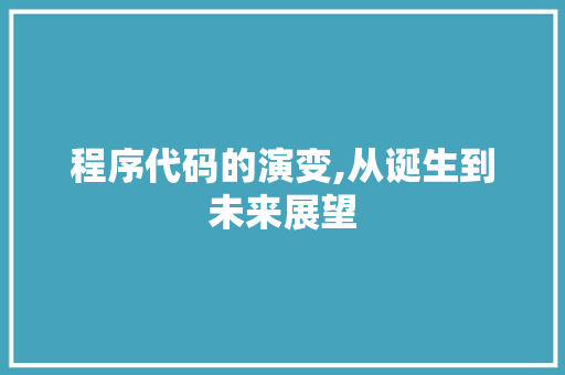 程序代码的演变,从诞生到未来展望