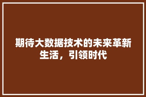 期待大数据技术的未来革新生活，引领时代 SEO教程