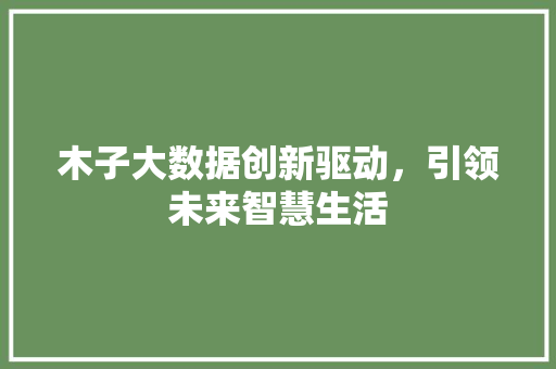 木子大数据创新驱动，引领未来智慧生活 建站教程