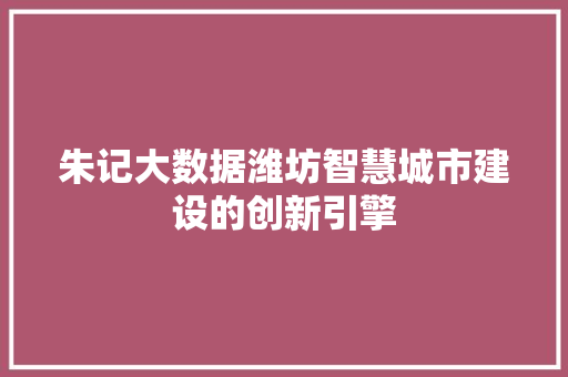 朱记大数据潍坊智慧城市建设的创新引擎 服务器/数据库