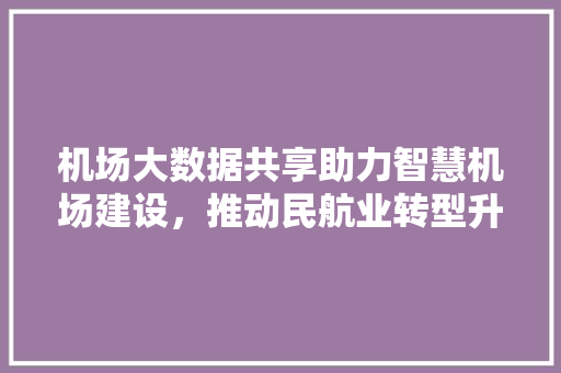 机场大数据共享助力智慧机场建设，推动民航业转型升级 友链在线