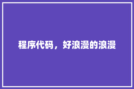程序代码，好浪漫的浪漫