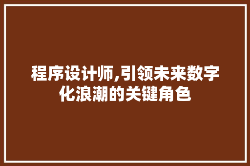 程序设计师,引领未来数字化浪潮的关键角色