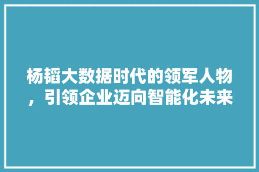 杨韬大数据时代的领军人物，引领企业迈向智能化未来
