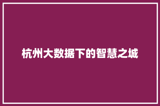 杭州大数据下的智慧之城 友链在线