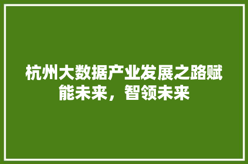 杭州大数据产业发展之路赋能未来，智领未来