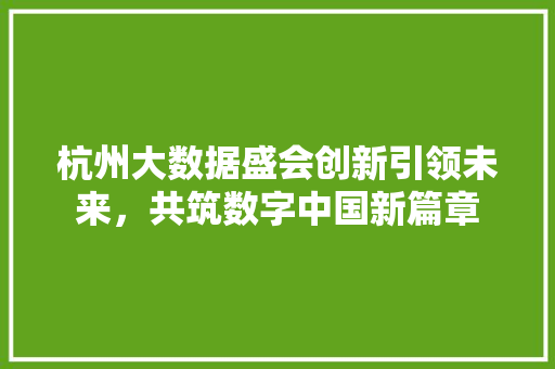 杭州大数据盛会创新引领未来，共筑数字中国新篇章 友链在线