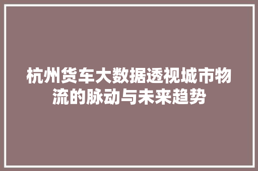 杭州货车大数据透视城市物流的脉动与未来趋势 建站教程