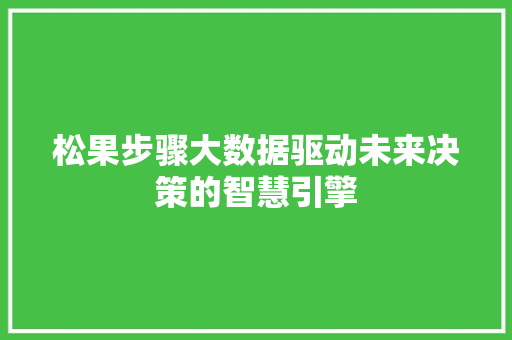 松果步骤大数据驱动未来决策的智慧引擎