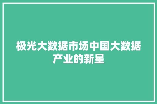 极光大数据市场中国大数据产业的新星