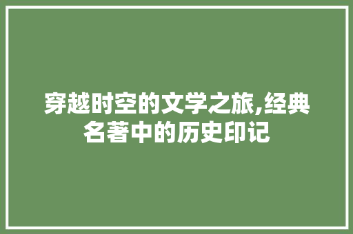 穿越时空的文学之旅,经典名著中的历史印记