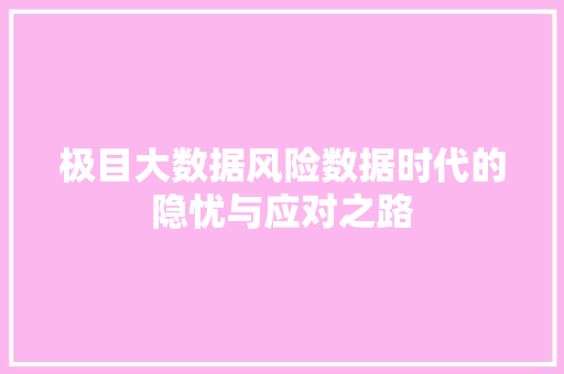 极目大数据风险数据时代的隐忧与应对之路 建站教程