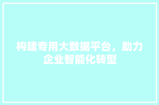 构建专用大数据平台，助力企业智能化转型 SEO教程