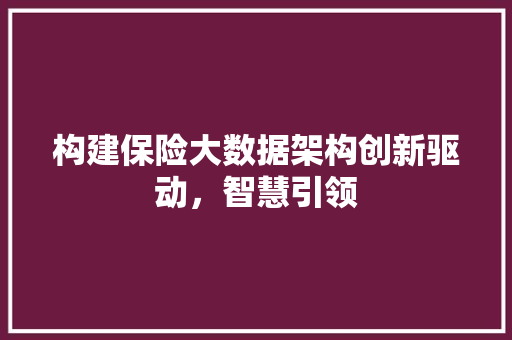 构建保险大数据架构创新驱动，智慧引领 友链在线