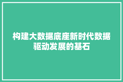 构建大数据底座新时代数据驱动发展的基石