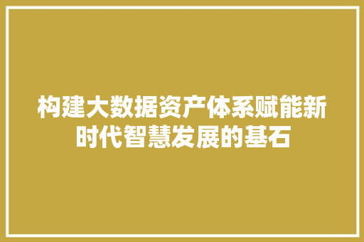 构建大数据资产体系赋能新时代智慧发展的基石 SEO教程