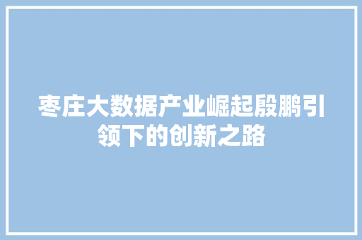 枣庄大数据产业崛起殷鹏引领下的创新之路