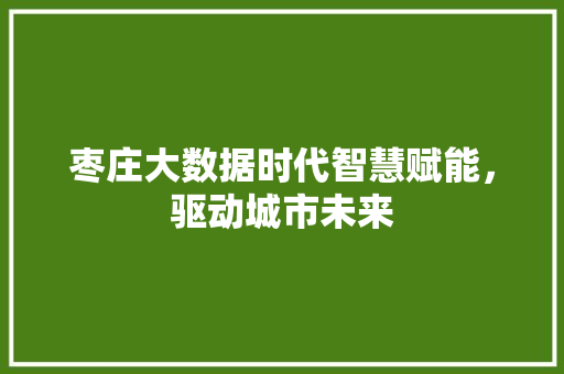 枣庄大数据时代智慧赋能，驱动城市未来 友链在线